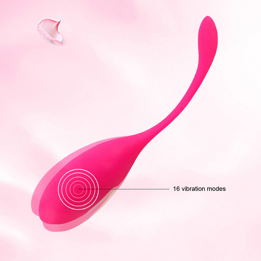 Levett Mignon Wireless G-spot Vibrators Kegel Balls Remote Control Vibrating