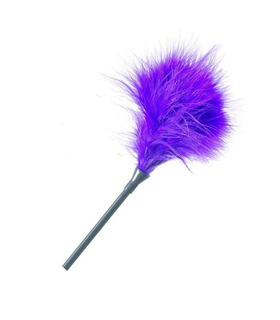 Soft Foreplay Feather Spanking Fetish Toy For Couples