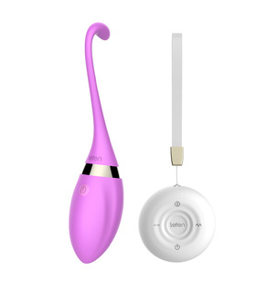 Leten Swan Silicone Egg Remote Control Vibrator