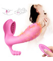 Remote Control Vibrator-Clit Massage-G-Punkt-Durchdringen-Intelligente Heizungs-Sex-Spielzeug für Frauen - Pink